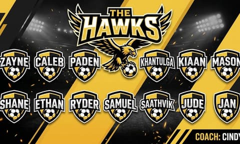 THE HAWKS Soccer AI-generated Team Banner