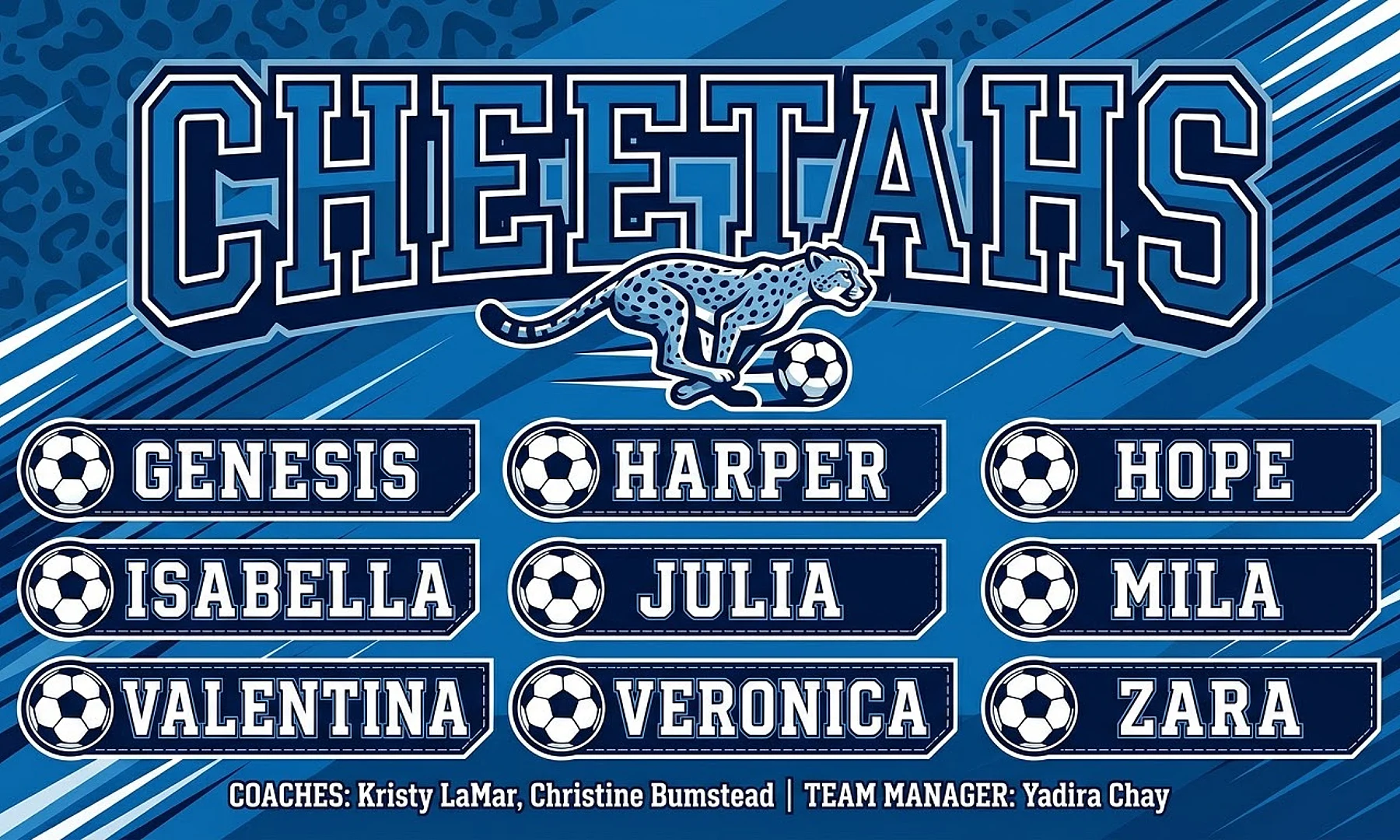 Cheetahs soccer team banner created with AI