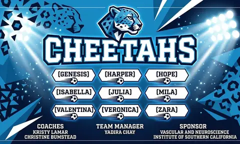 Cheetahs Soccer AI image template
