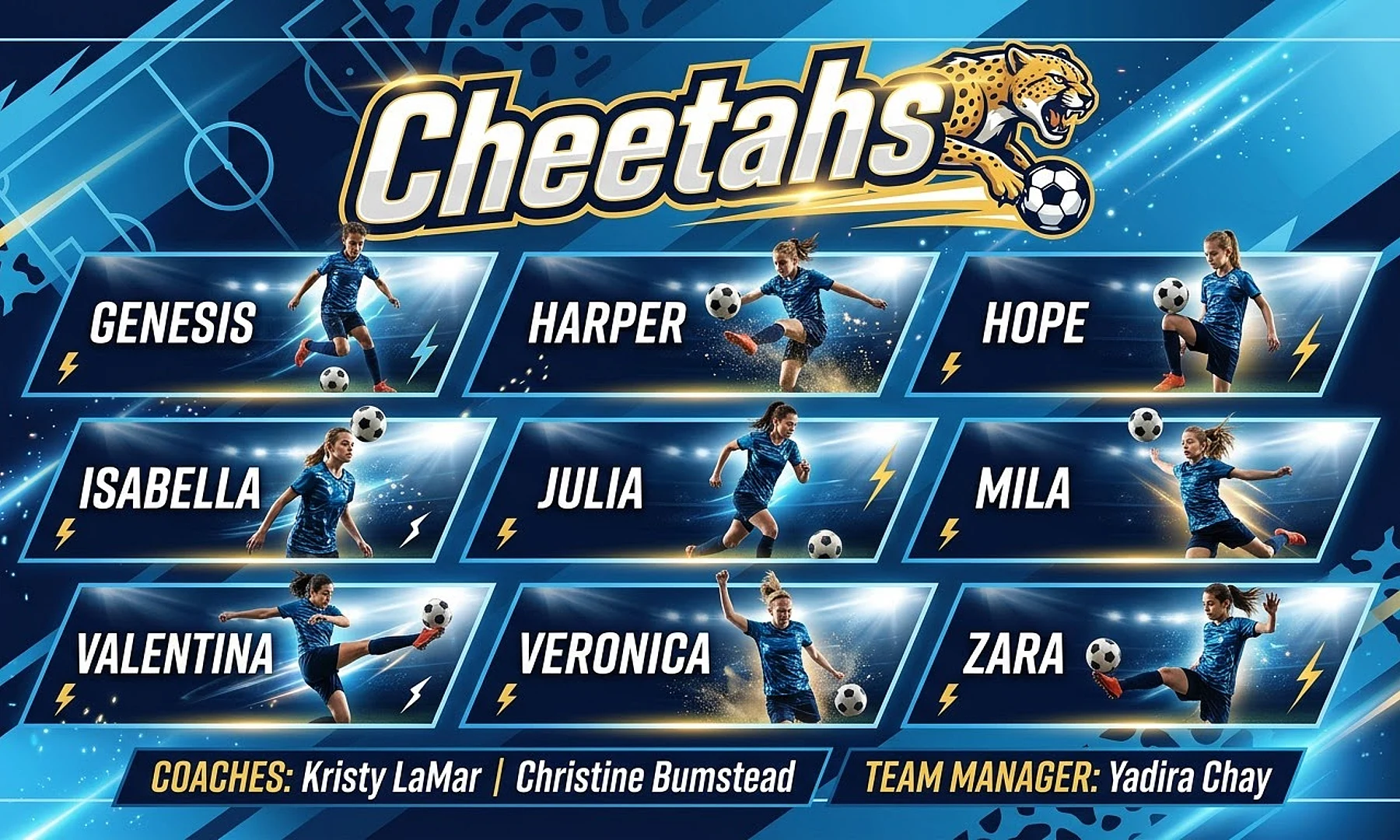 Cheetahs soccer team banner created with AI