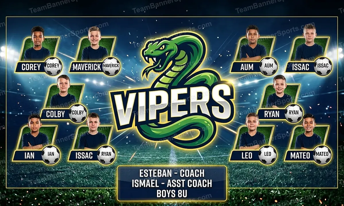 Vipers soccer team banner created with AI