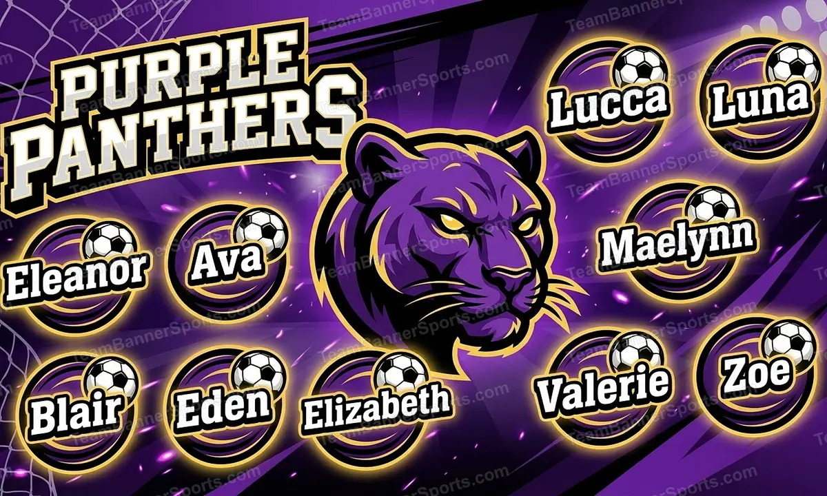 Purple Panthers soccer team banner created with AI