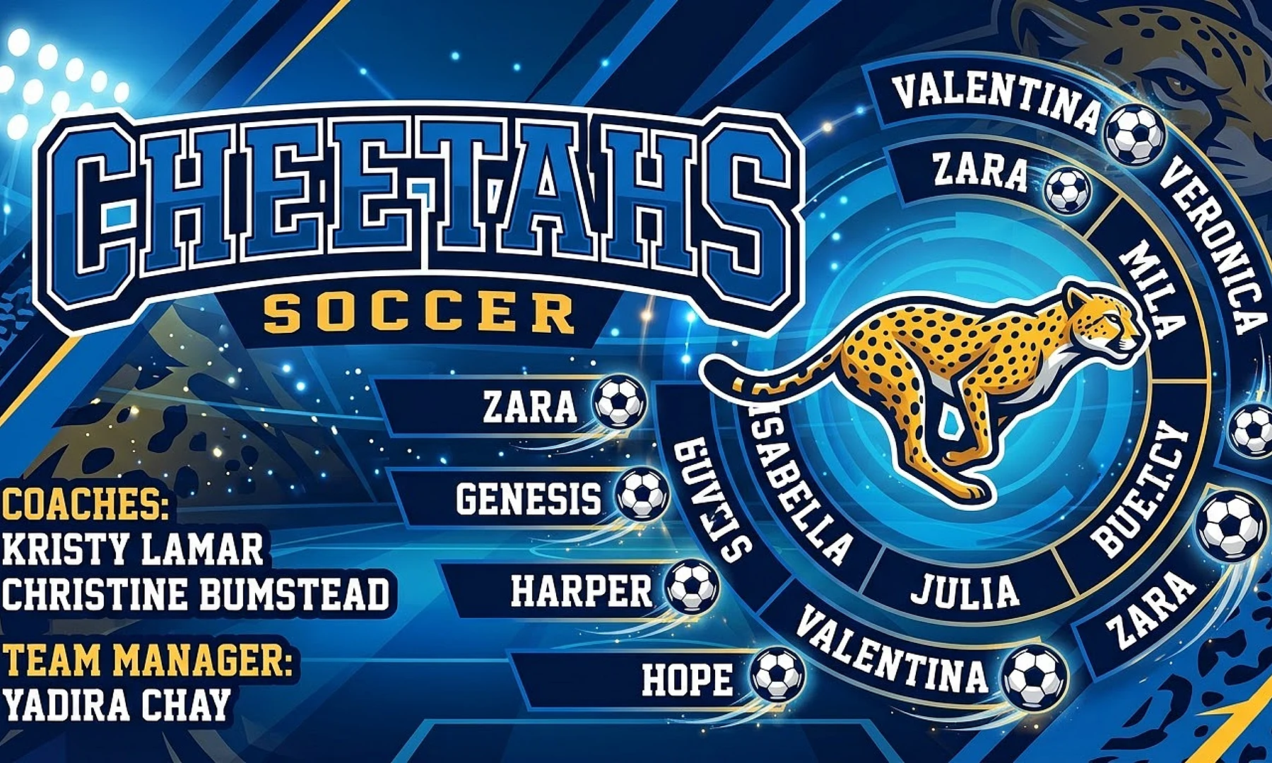 Cheetahs soccer team banner created with AI