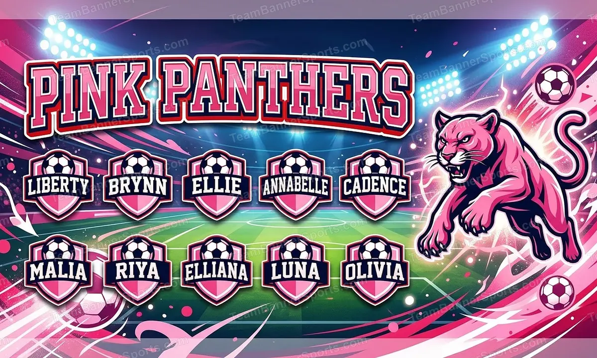 Pink Panthers soccer team banner created with AI