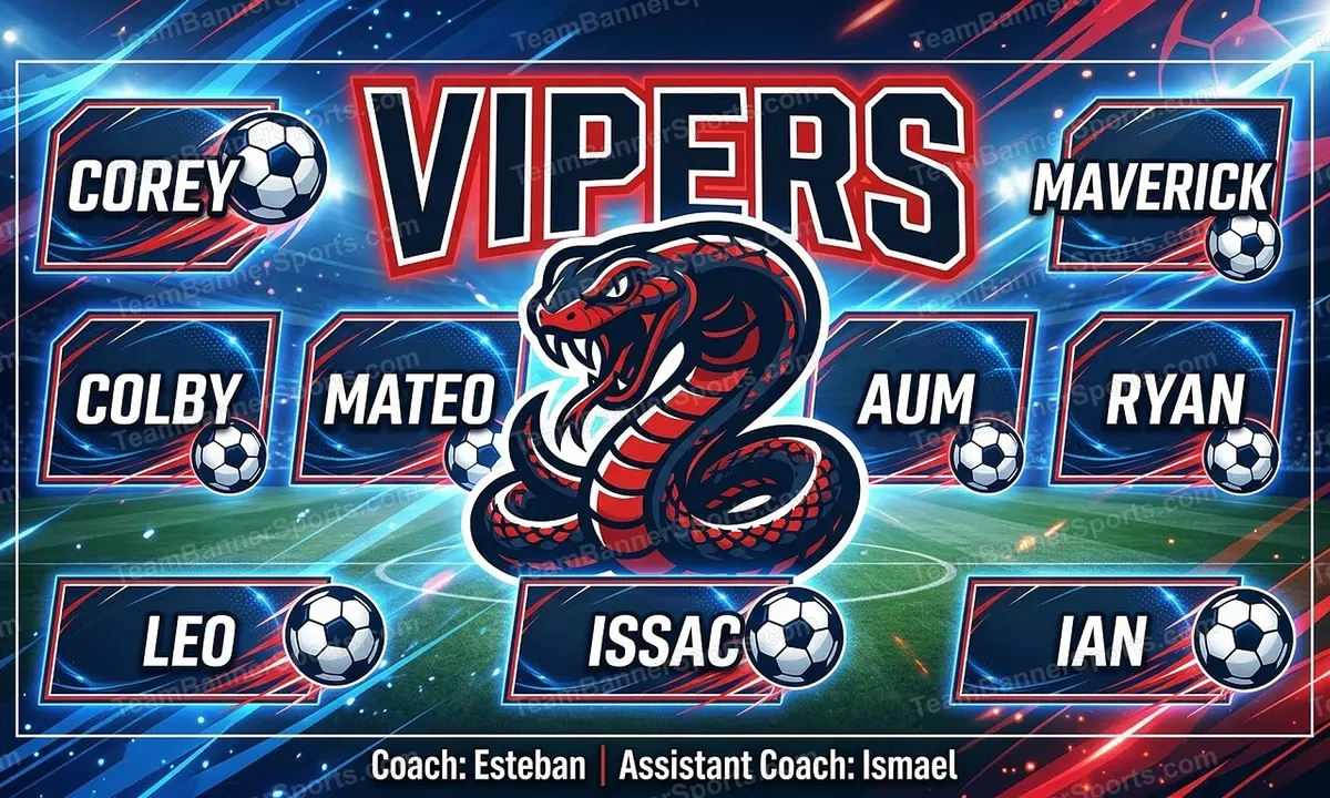 Vipers soccer team banner created with AI
