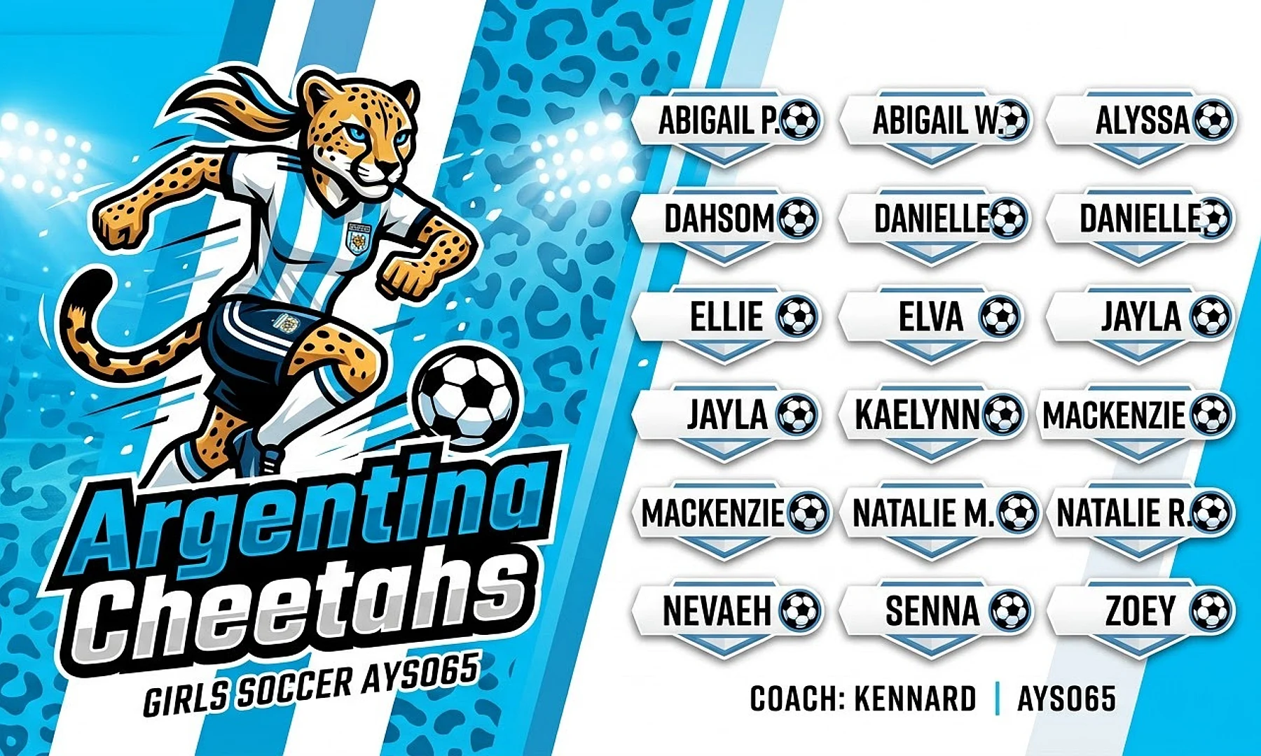 Argentina Cheetahs soccer team banner created with AI