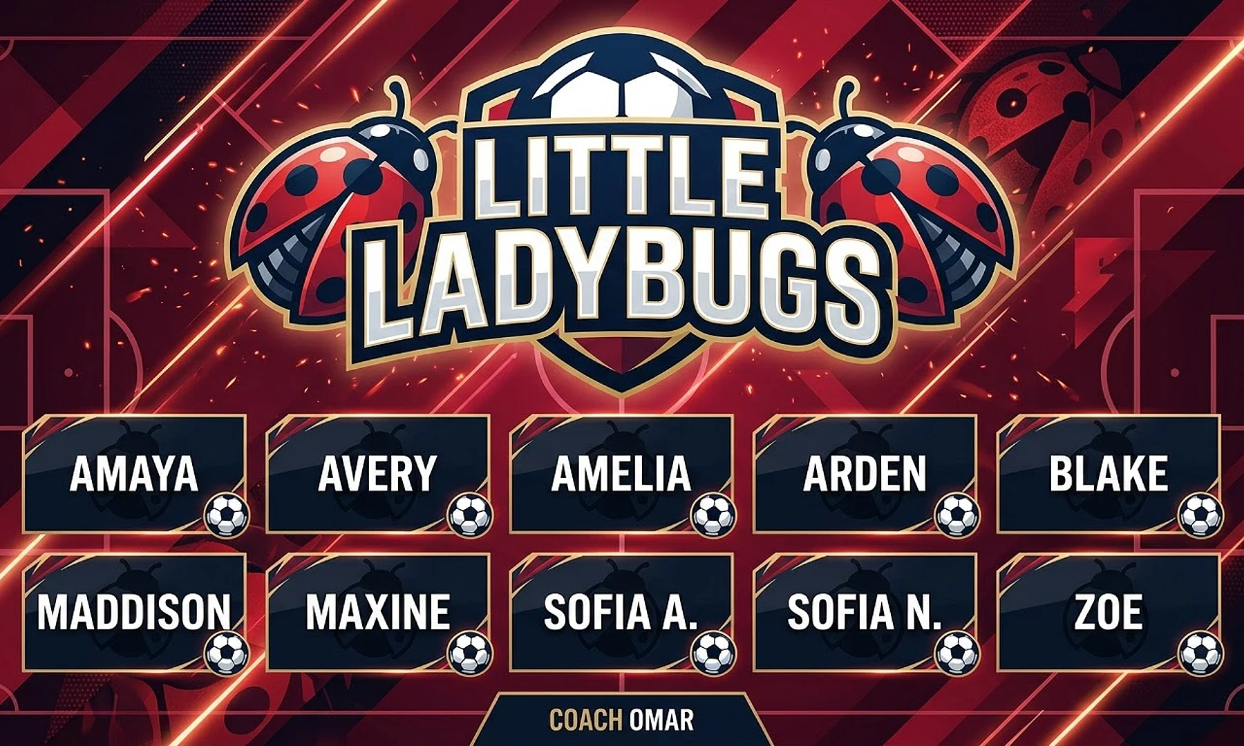 Little Ladybugs soccer team banner created with AI