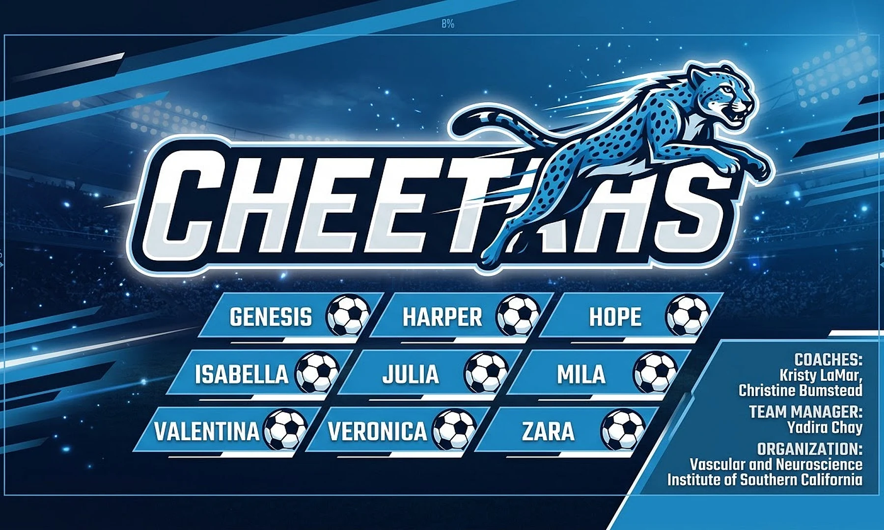 Cheetahs soccer team banner created with AI