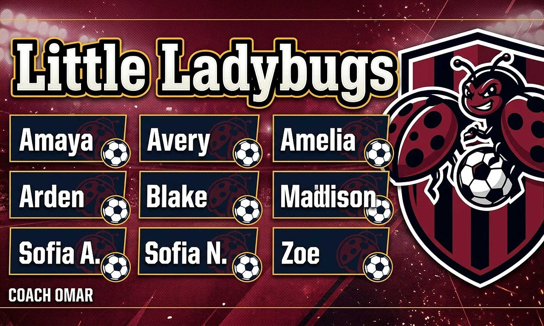 Little Ladybugs soccer team banner created with AI