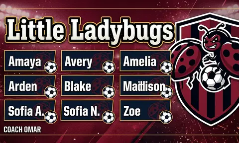 Little Ladybugs Soccer AI image template