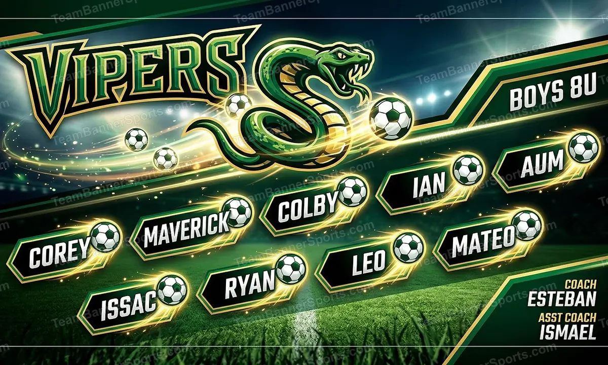 Vipers soccer team banner created with AI