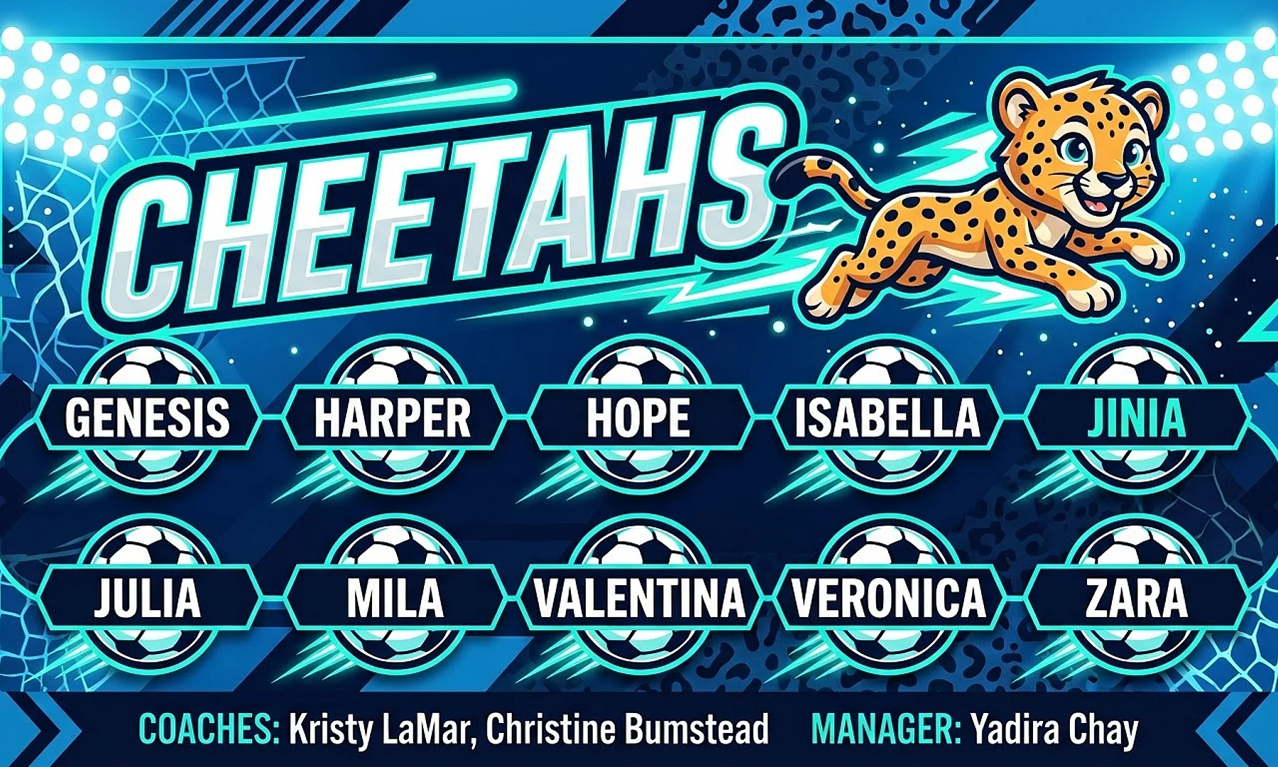 Cheetahs soccer team banner created with AI