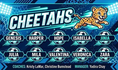 Cheetahs Soccer AI image template