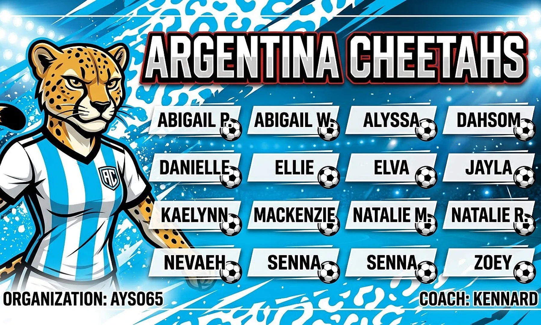 Argentina Cheetahs soccer team banner created with AI