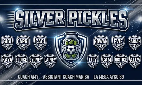 Silver Pickles Soccer AI image template