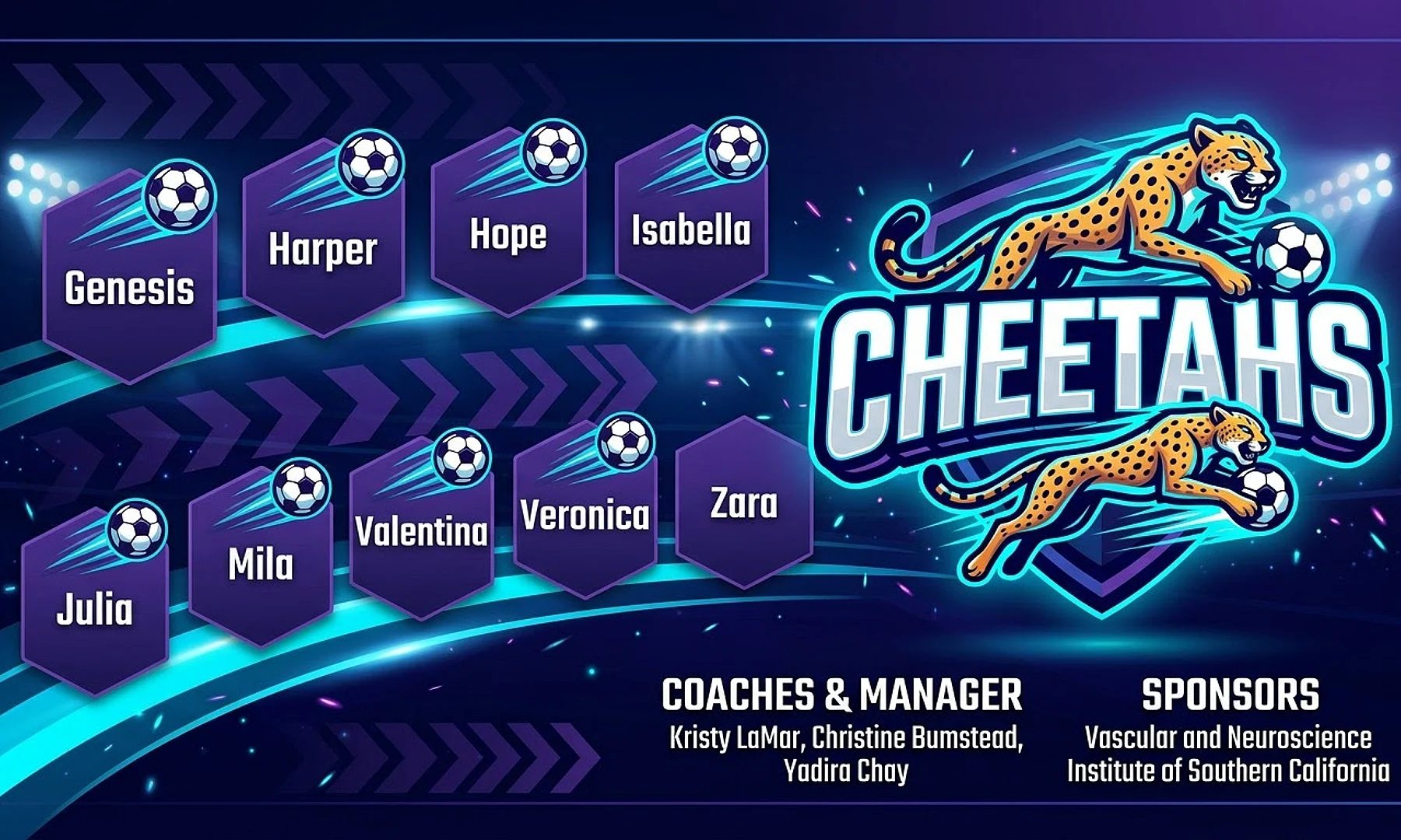 Cheetahs soccer team banner created with AI