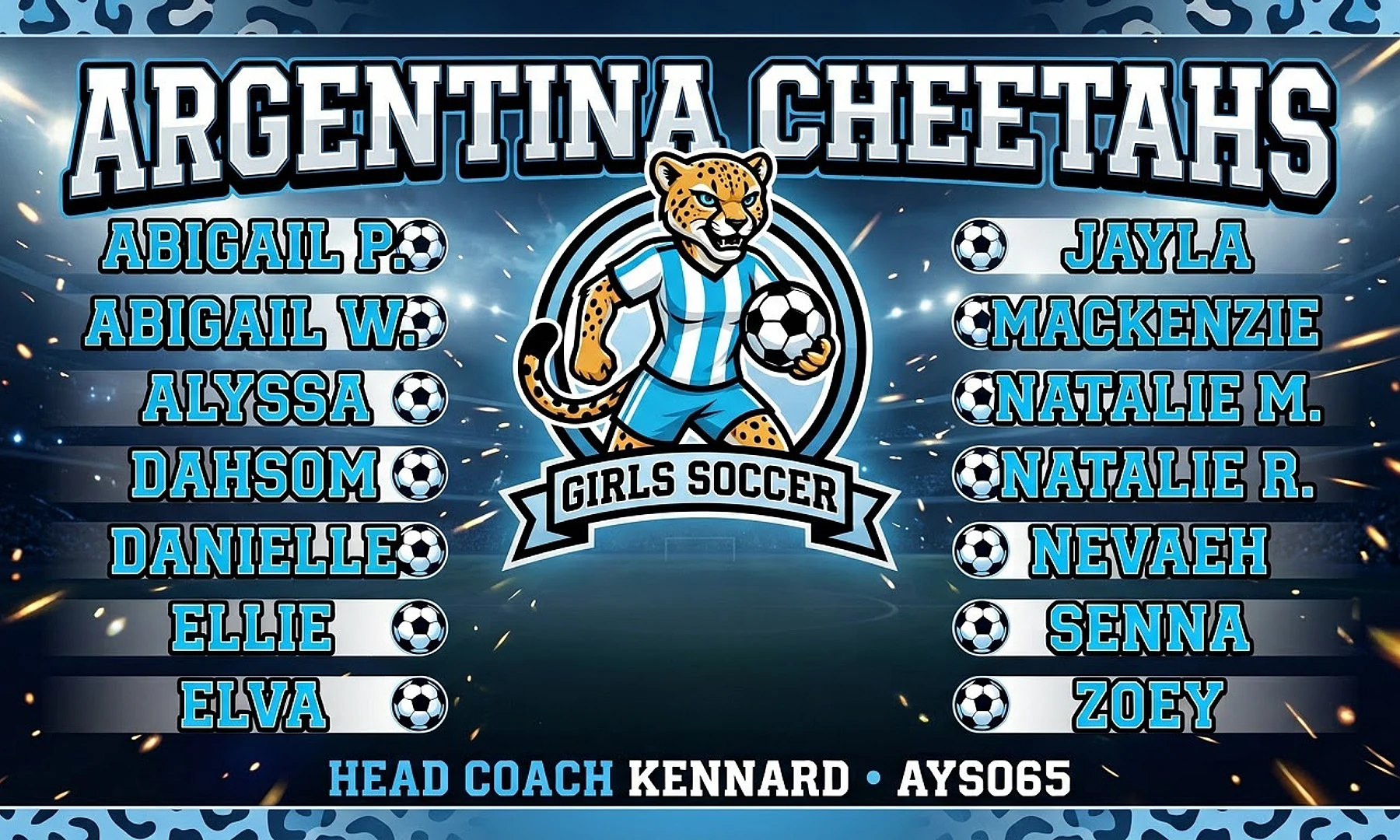 Argentina Cheetahs soccer team banner created with AI