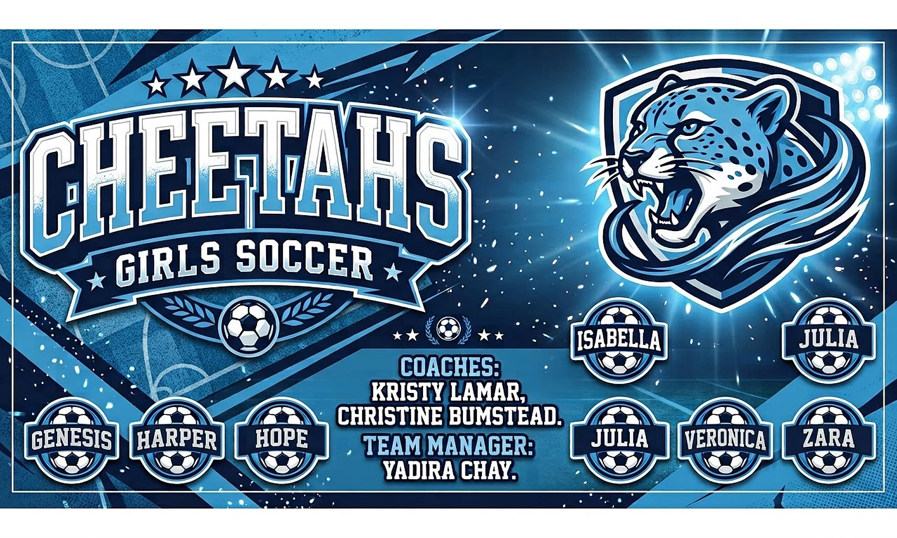 Cheetahs soccer team banner created with AI