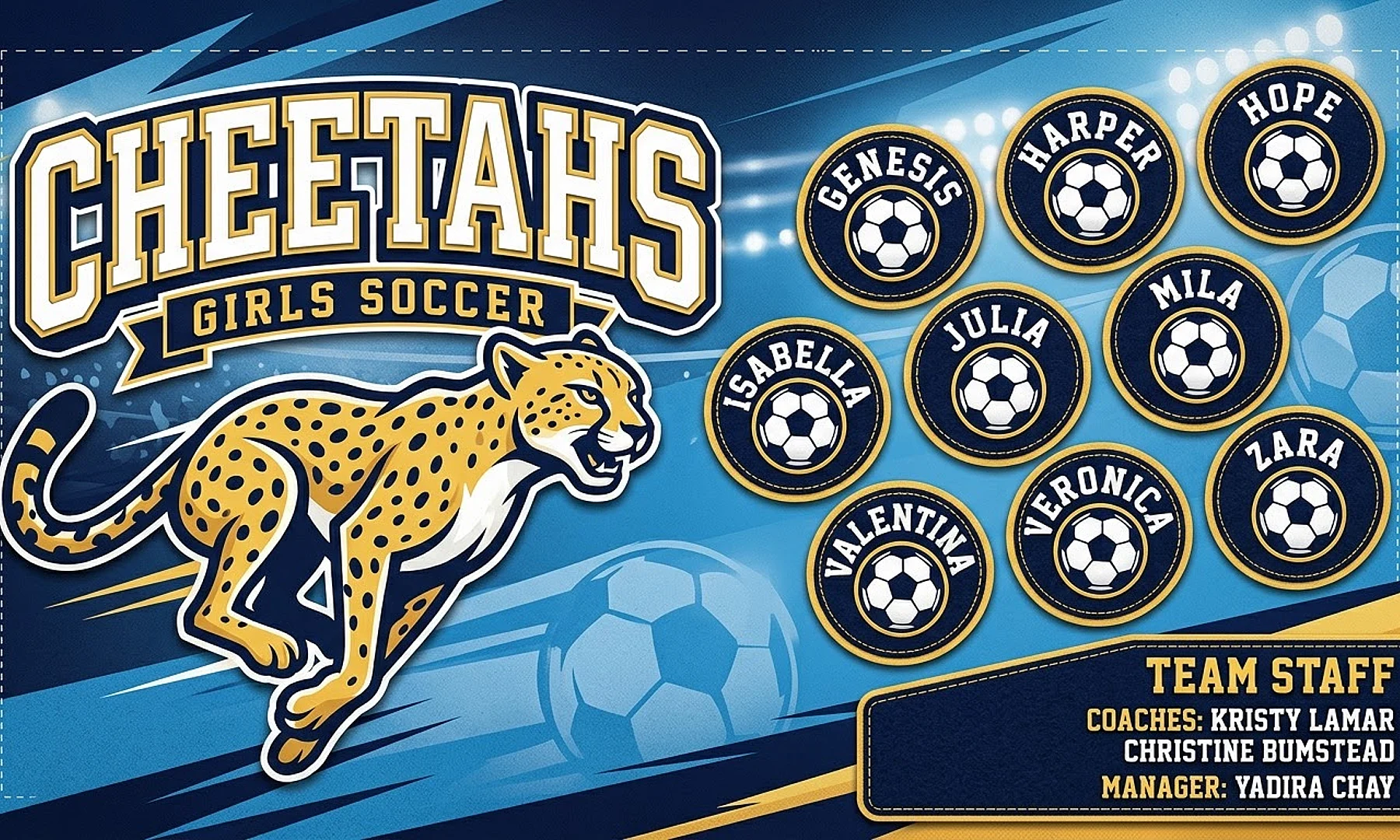 Cheetahs soccer team banner created with AI