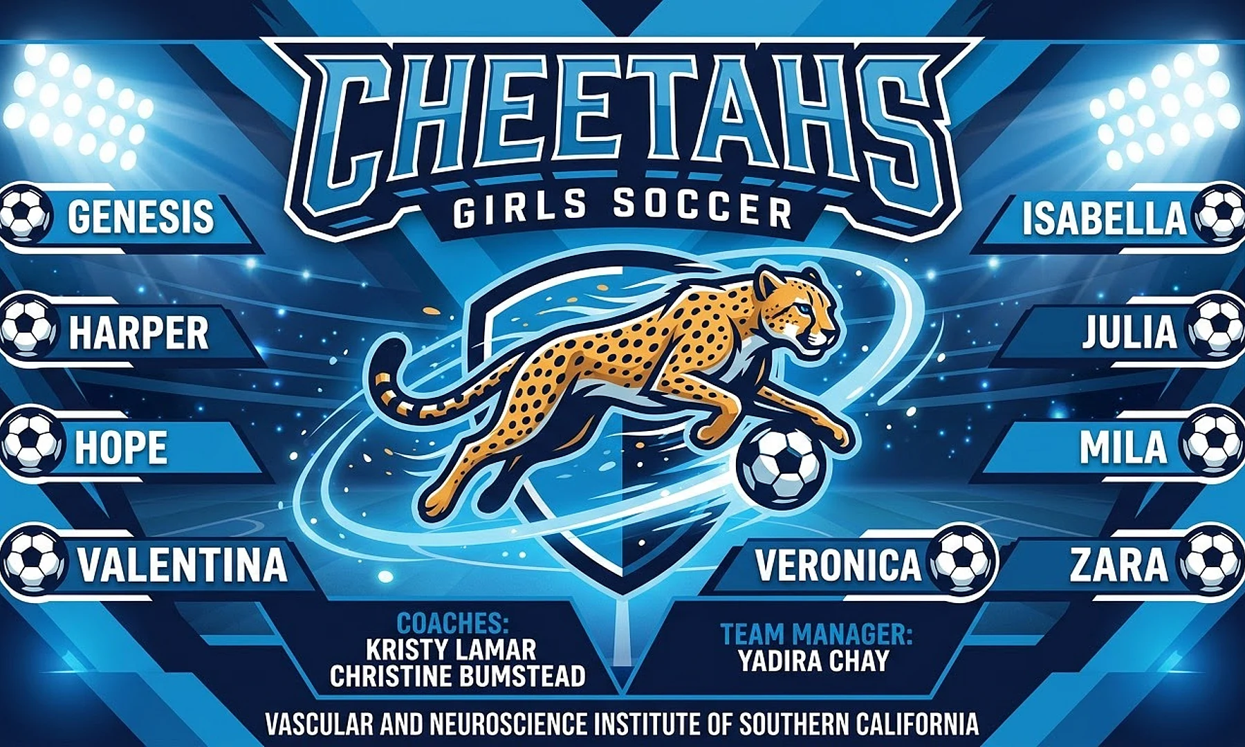 Cheetahs soccer team banner created with AI