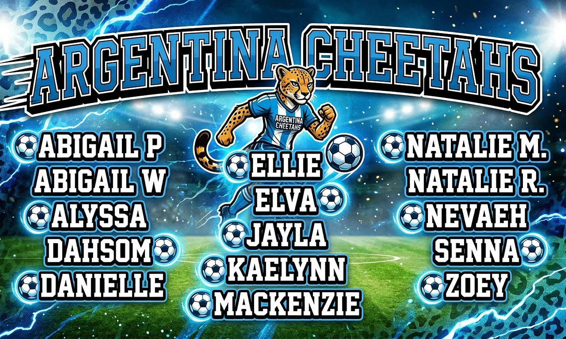 Argentina Cheetahs soccer team banner created with AI