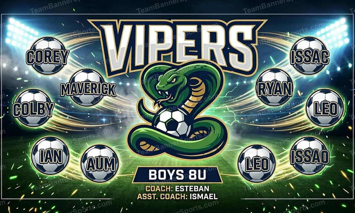 Vipers soccer team banner created with AI