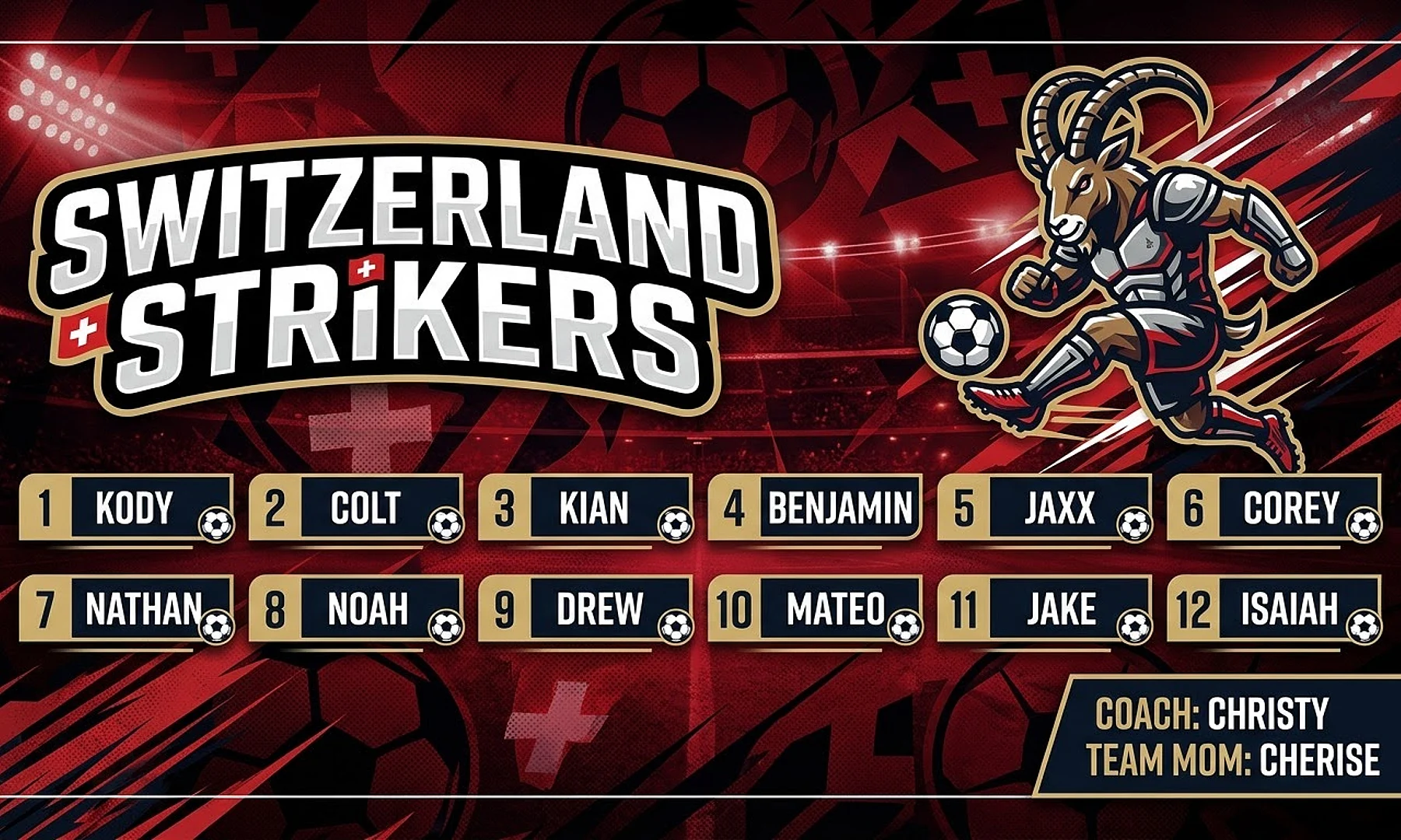 Switzerland Strikers soccer team banner created with AI