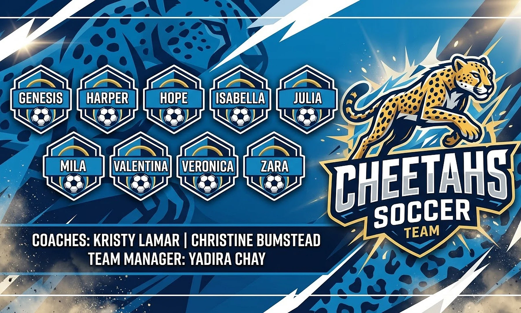 Cheetahs soccer team banner created with AI