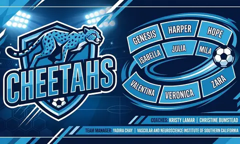Cheetahs Soccer AI image template