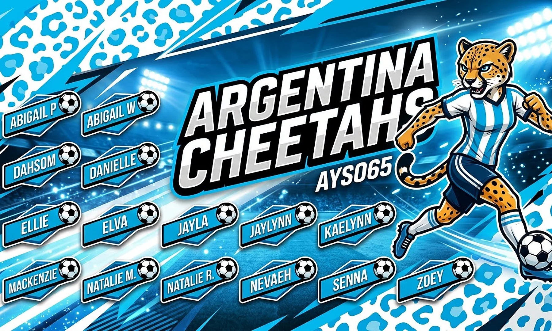 Argentina Cheetahs soccer team banner created with AI
