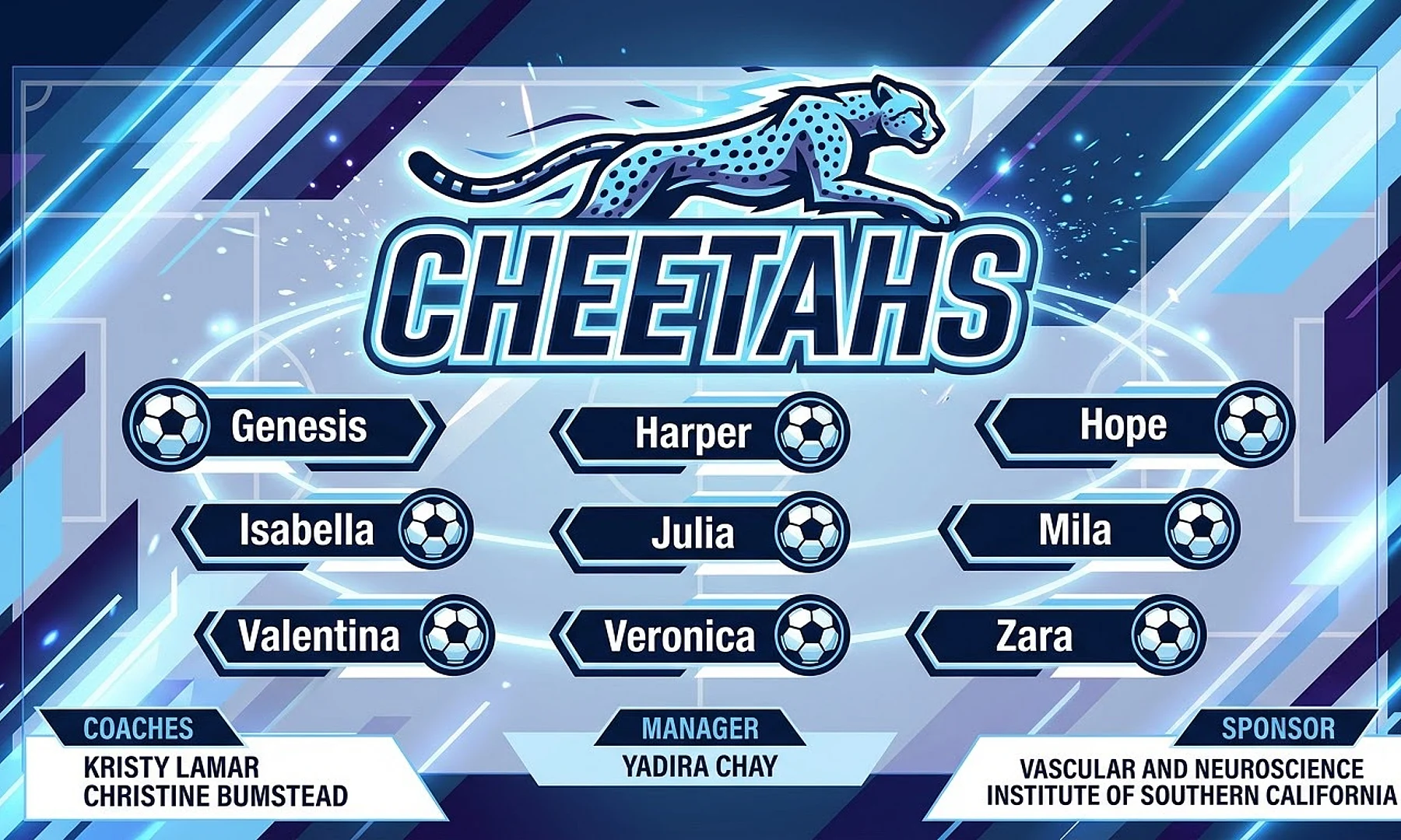 Cheetahs soccer team banner created with AI