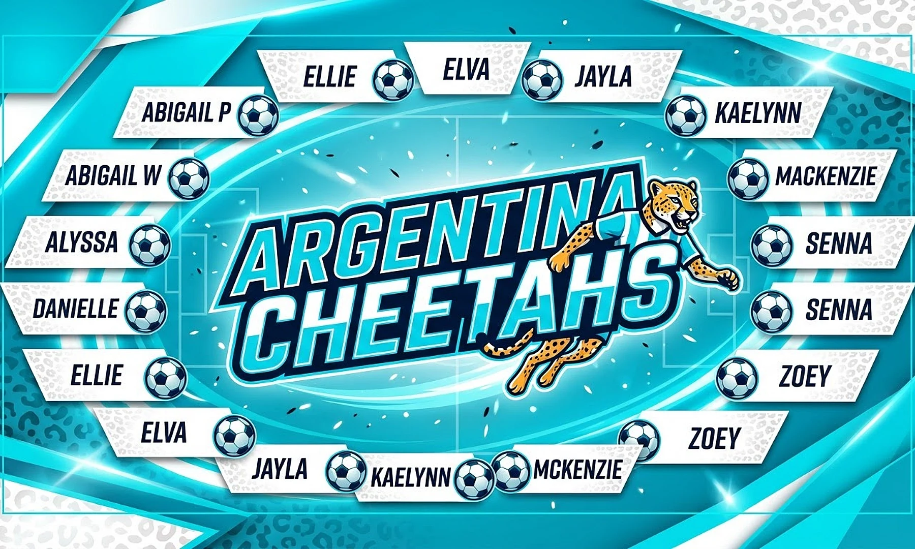 Argentina Cheetahs soccer team banner created with AI