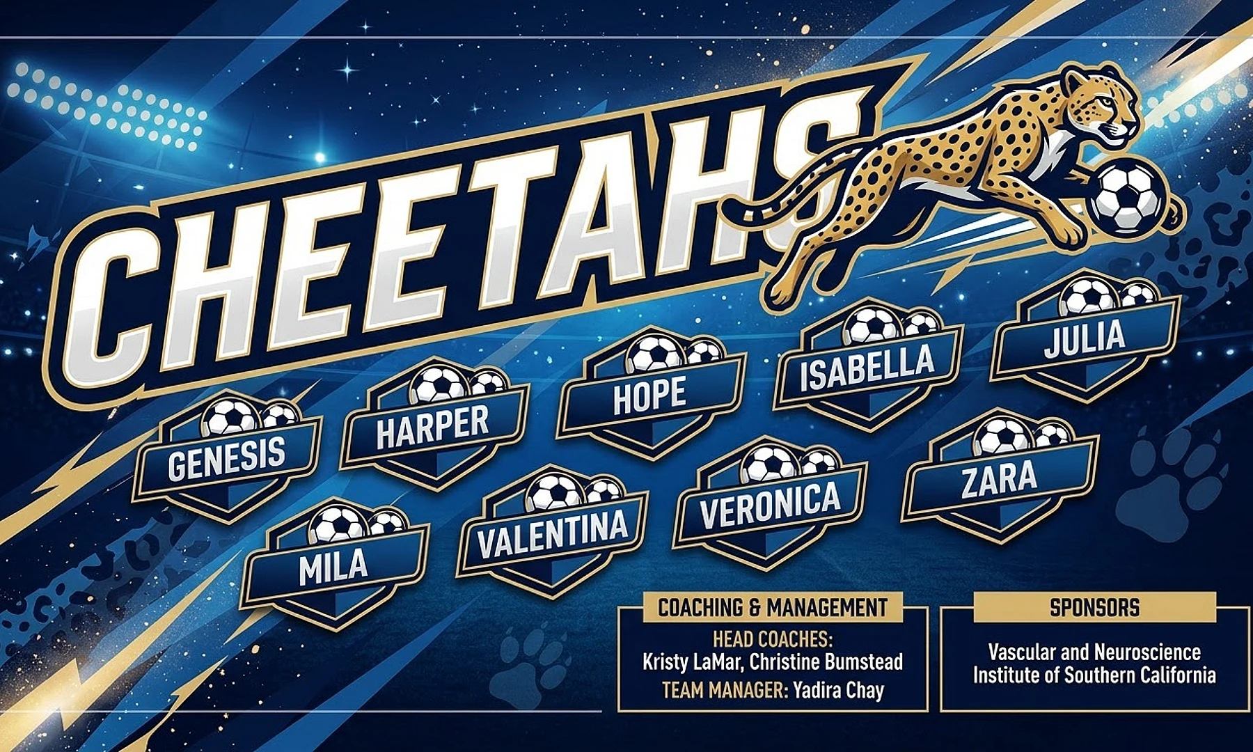 Cheetahs soccer team banner created with AI