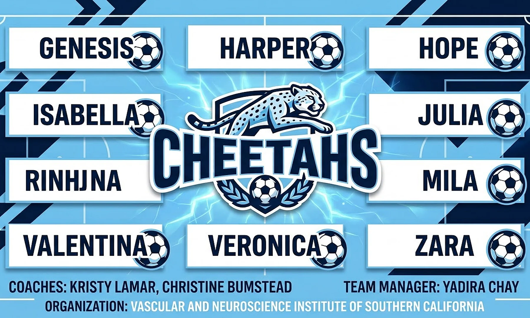 Cheetahs soccer team banner created with AI