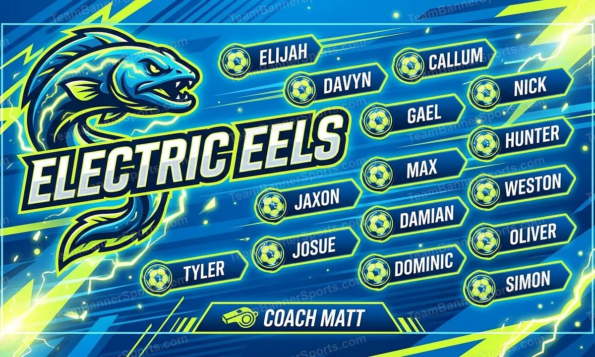 Eletric Eels soccer team banner created with AI