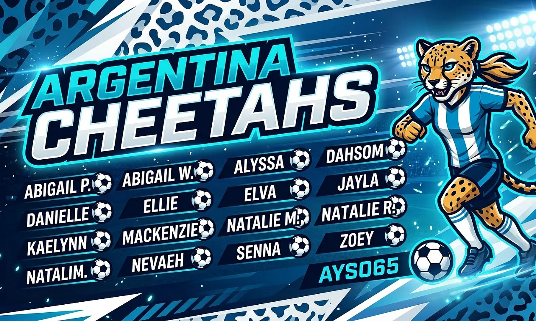 Argentina Cheetahs soccer team banner created with AI