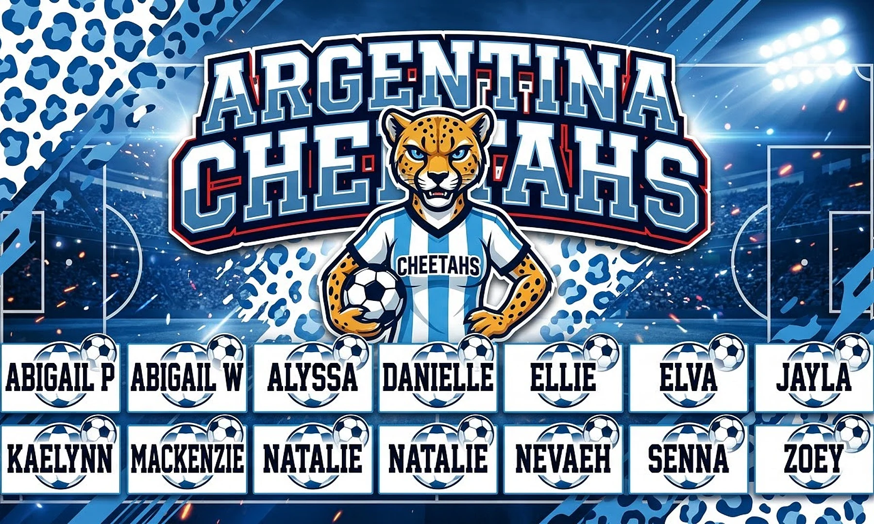 Argentina Cheetahs soccer team banner created with AI