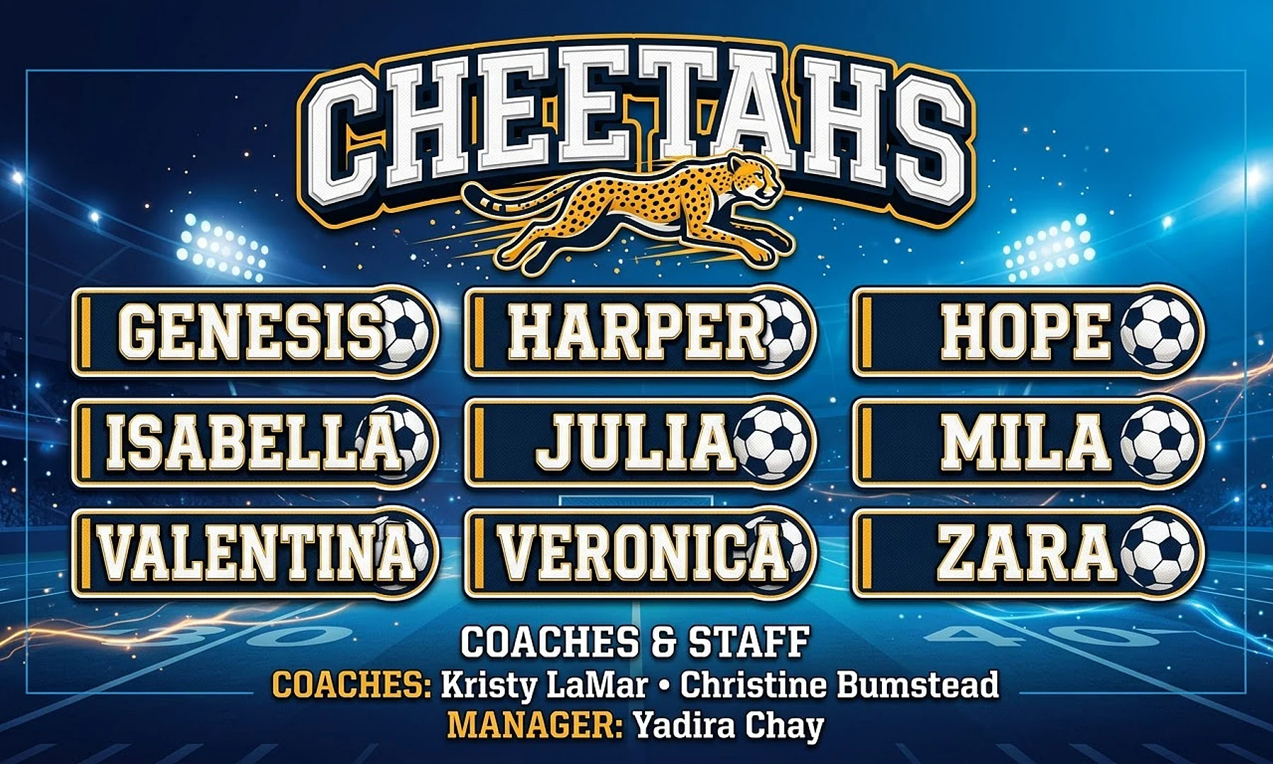 Cheetahs soccer team banner created with AI