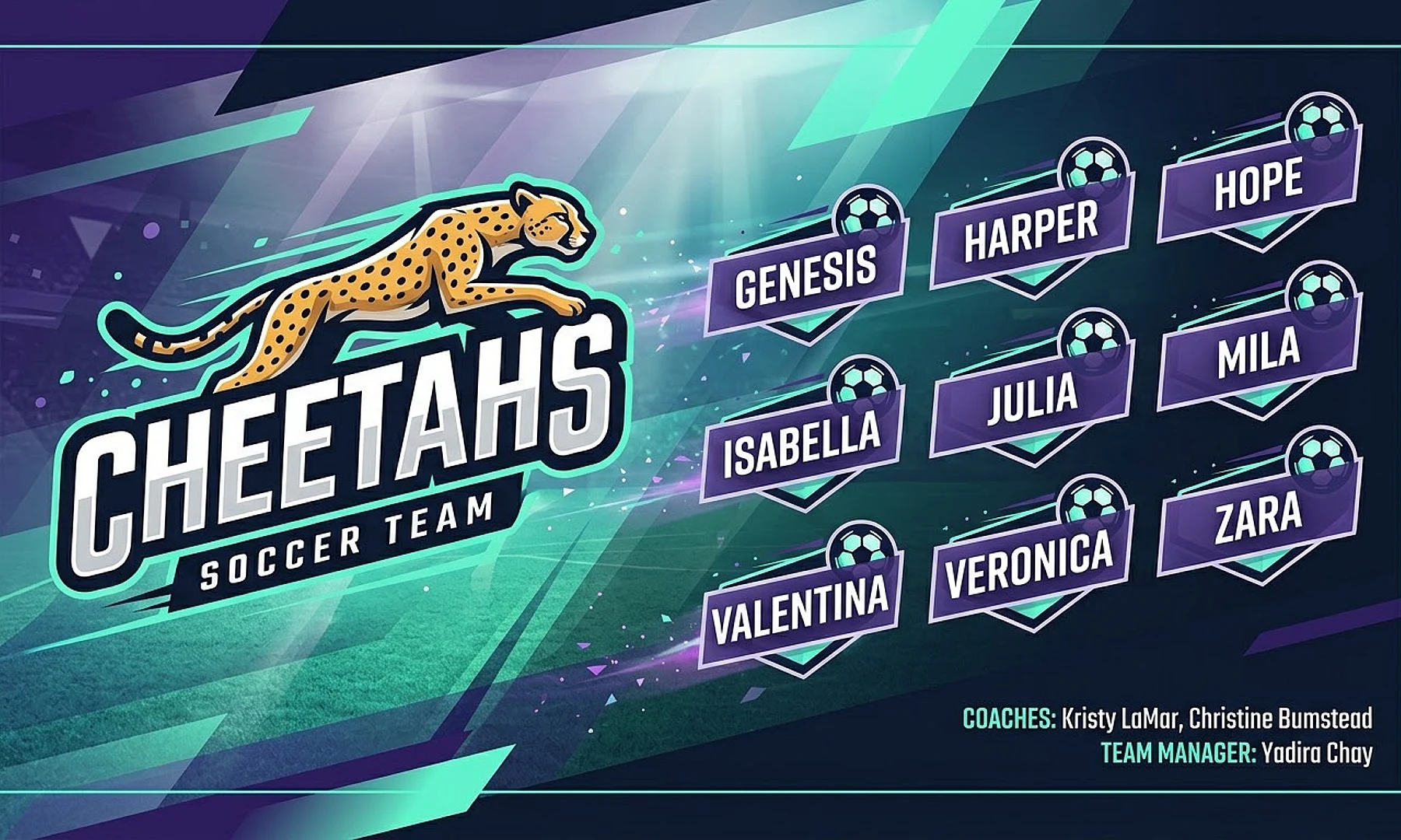 Cheetahs soccer team banner created with AI