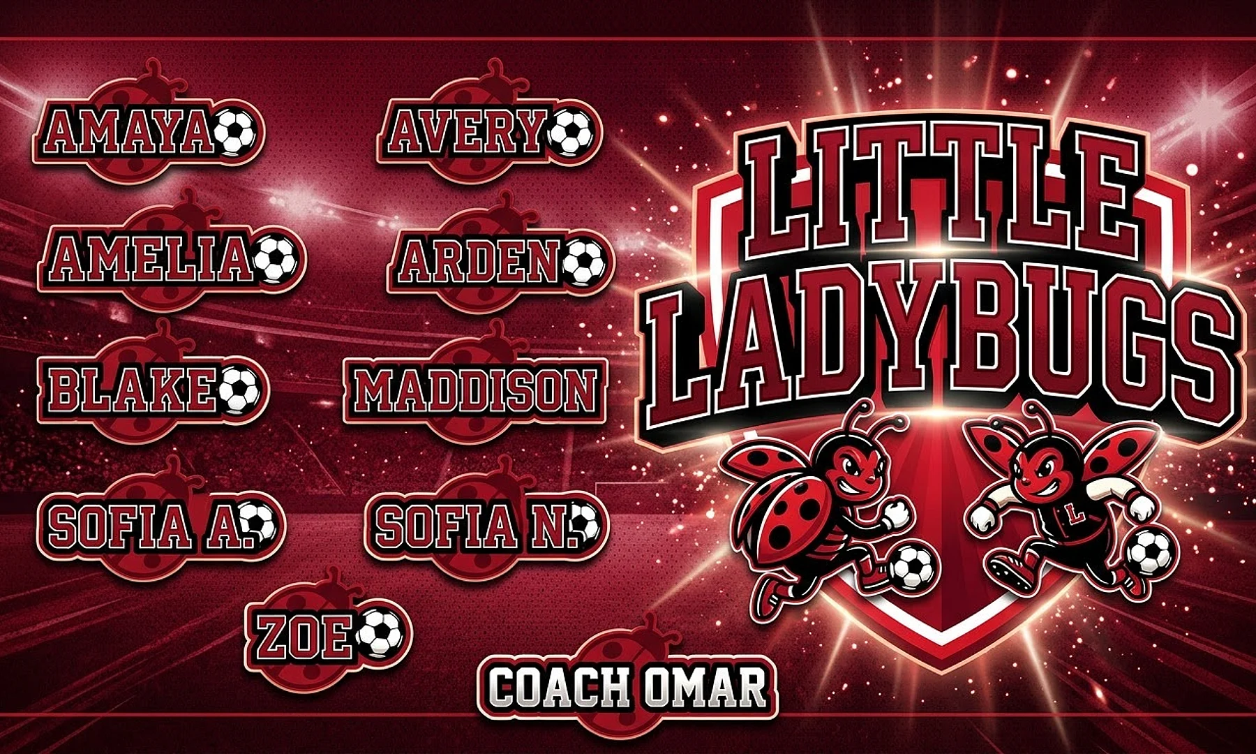 Little Ladybugs soccer team banner created with AI