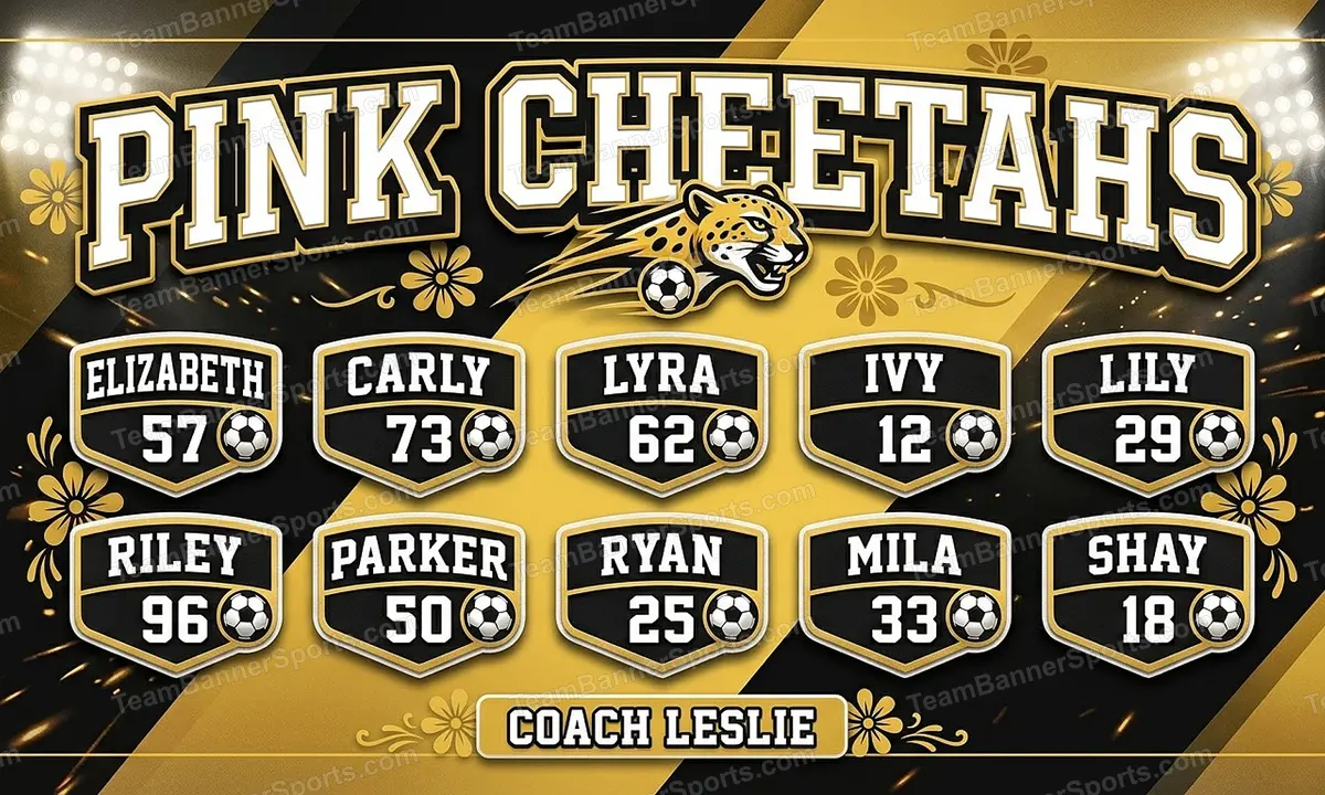 Pink Cheetahs soccer team banner created with AI