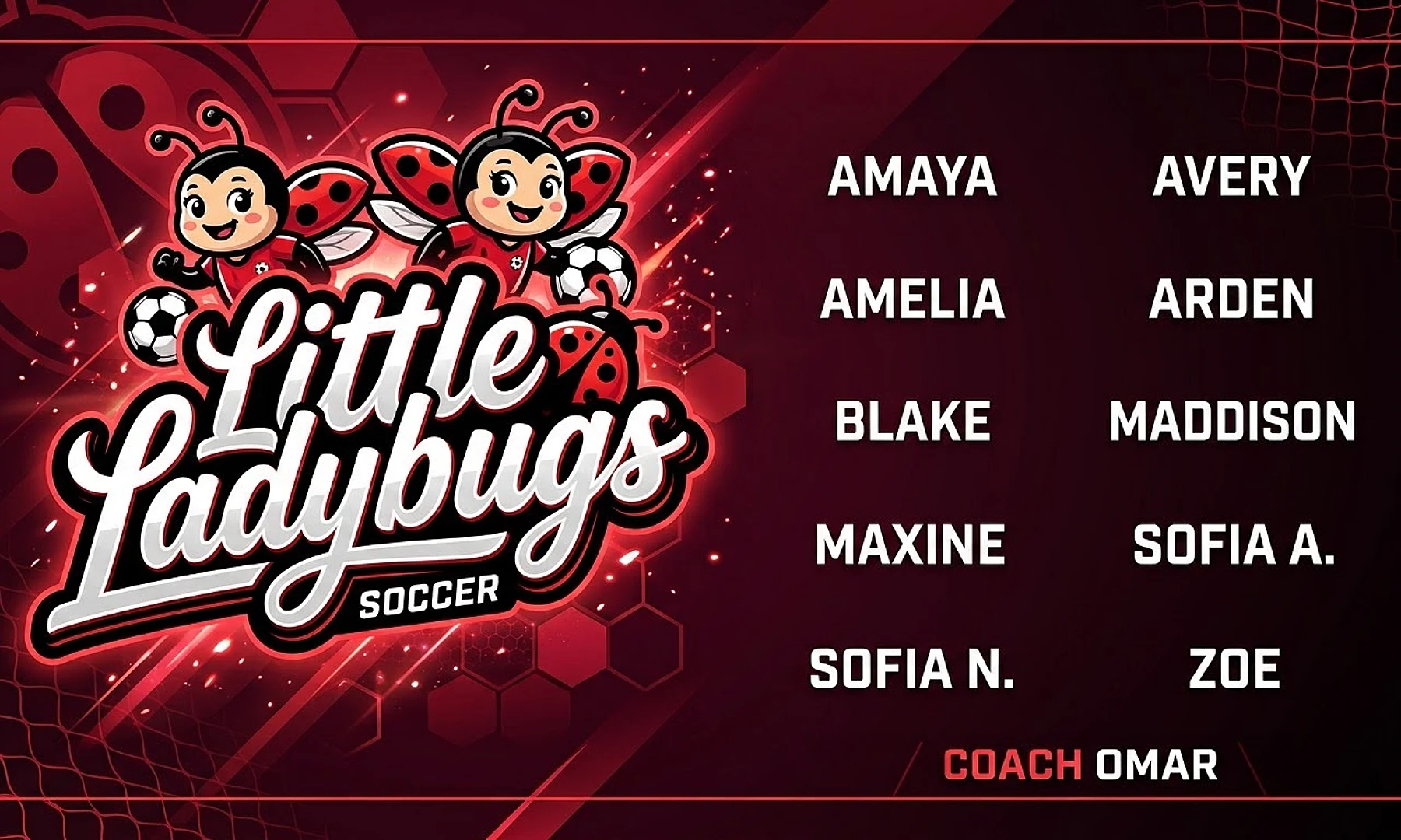 Little Ladybugs soccer team banner created with AI