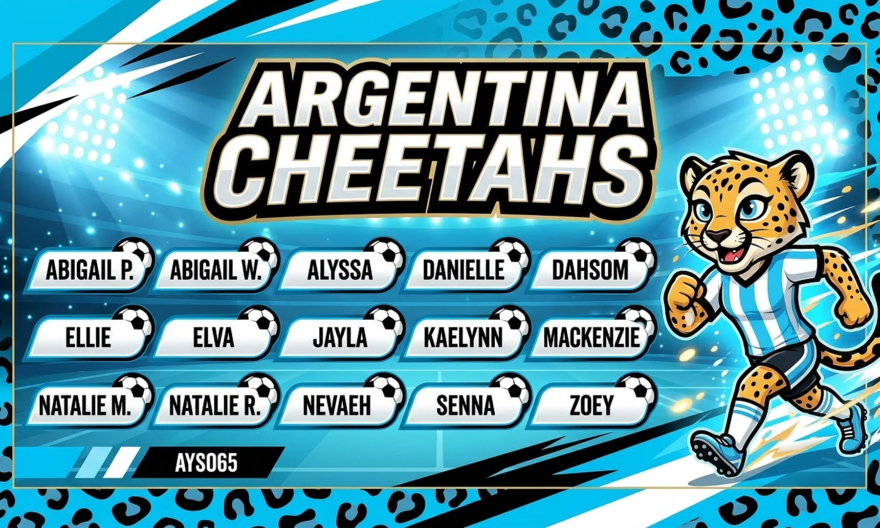 Argentina Cheetahs soccer team banner created with AI