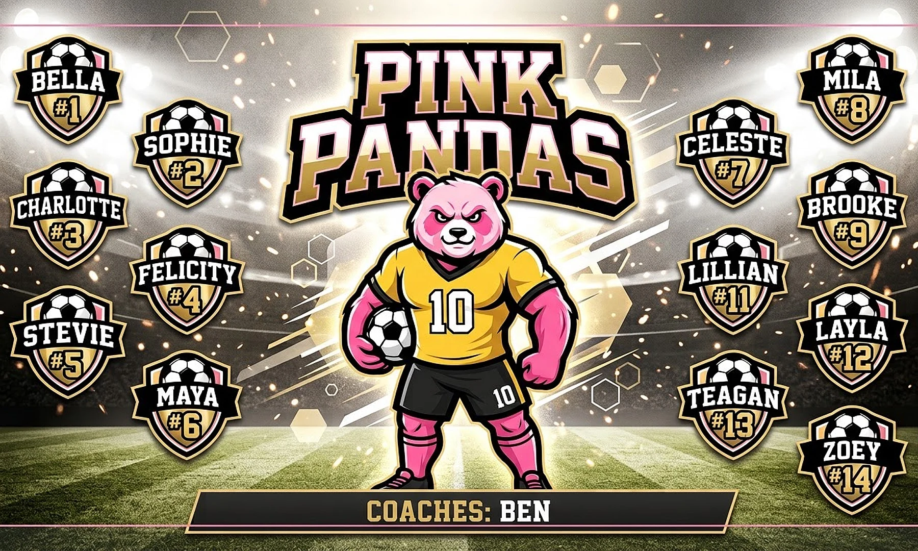 Pink Pandas soccer team banner created with AI