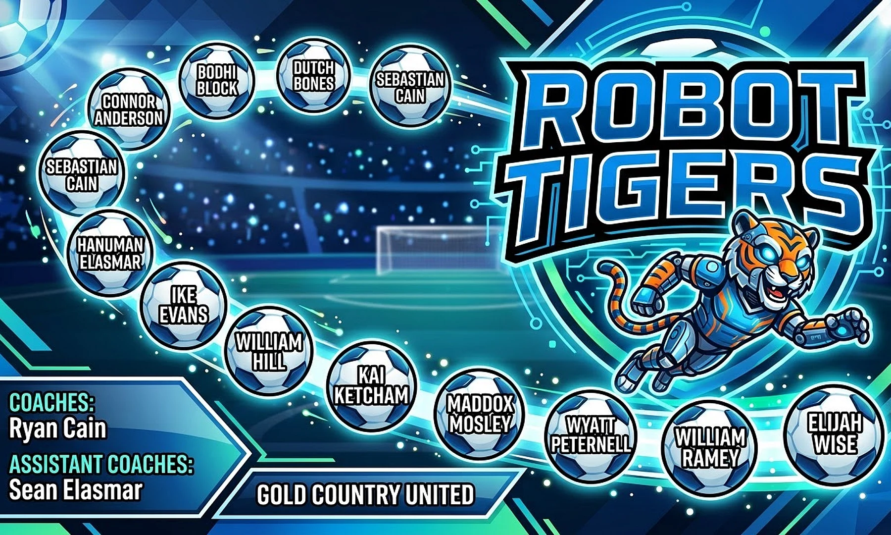 Robot Tigers Soccer AI image template