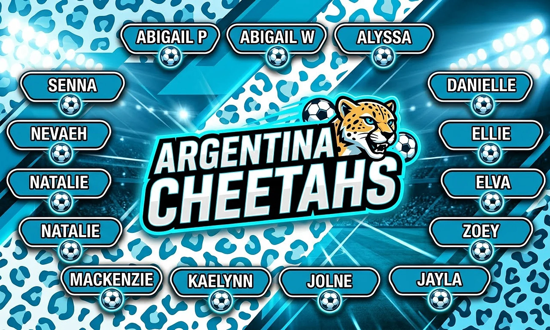 Argentina Cheetahs soccer team banner created with AI