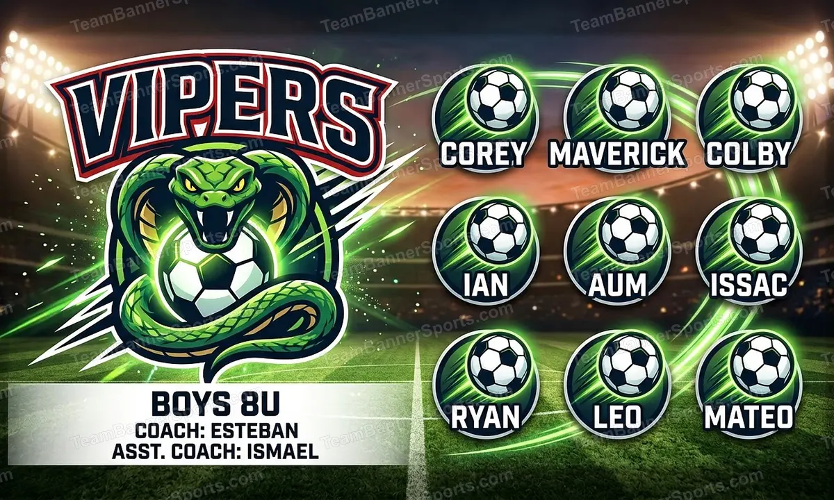 Vipers soccer team banner created with AI