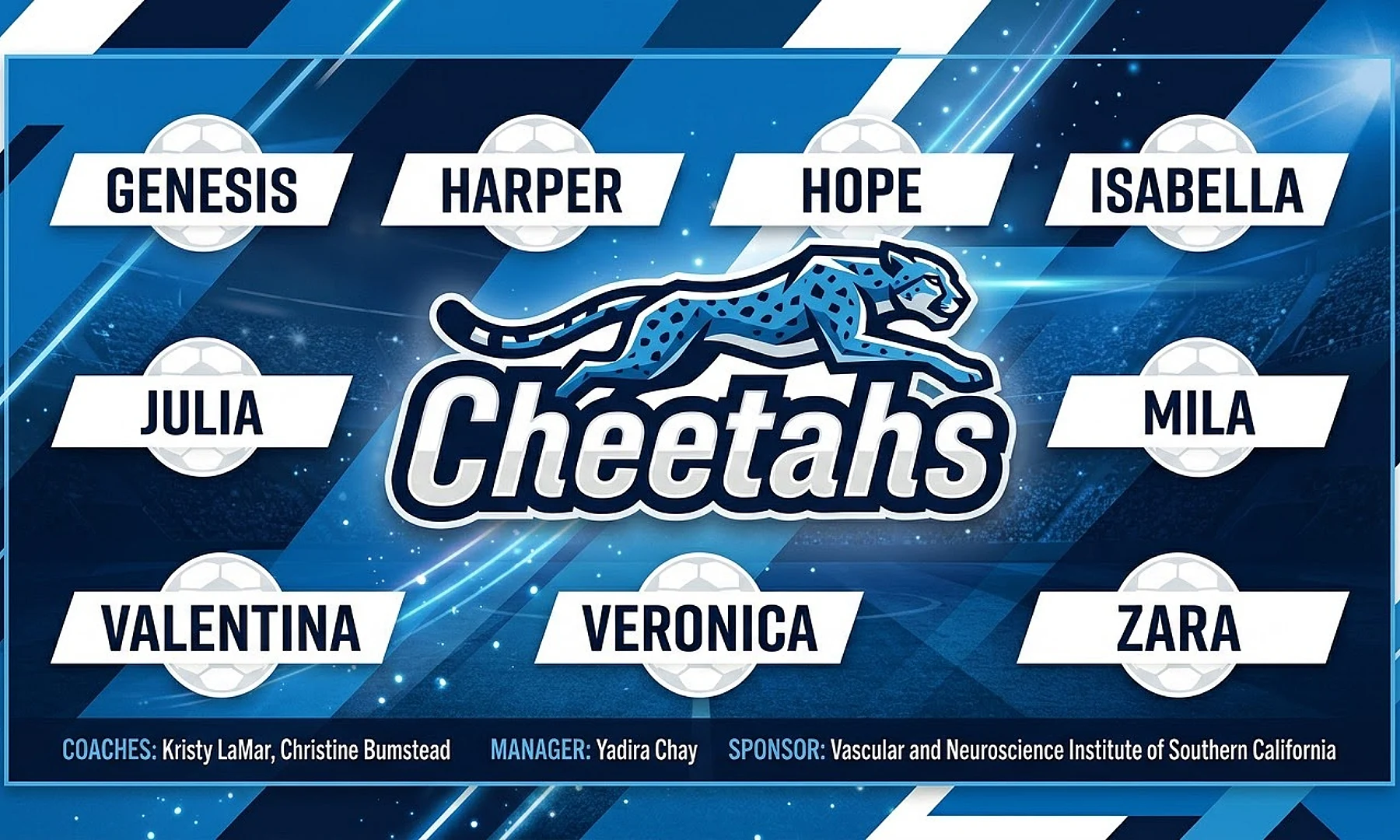 Cheetahs soccer team banner created with AI