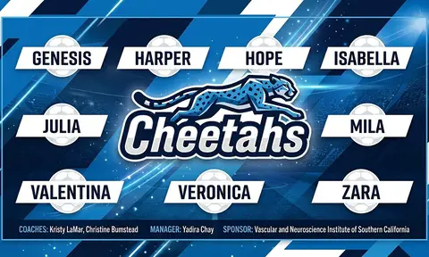 Cheetahs Soccer AI image template