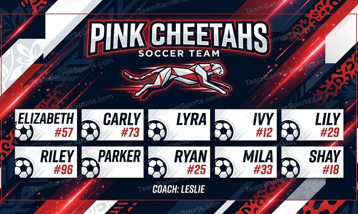 Pink Cheetahs soccer team banner created with AI